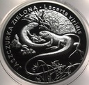 20 zł złotych 2009 Jaszczurka Zielona SREBRO