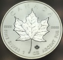 Kanada 5 dolarów 2019 Liść klonu klonowy uncja 1 oz SREBRO