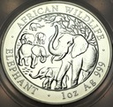 Somalia 100 Szylingów 2008 Słoń Afrykański SREBRO