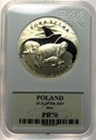 20 zł złotych 2007 Foka Szara Foki Zwierzęta Świata SREBRO (nr 1)