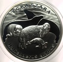 20 zł złotych 2007 Foka Szara Foki Zwierzęta Świata SREBRO (nr 3)