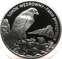 20 zł złotych 2008 Sokół Wędrowny Zwierzęta Świata SREBRO