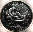 20 zł złotych 2009 Jaszczurka Zielona Zwierzęta Świata SREBRO
