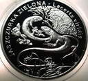 20 zł złotych 2009 Jaszczurka Zielona Zwierzęta Świata SREBRO (nr 1)
