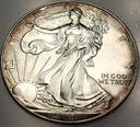 USA 1 dolar dollar 2000 American Silver Eagle uncja 1 oz SREBRO