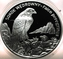 20 zł złotych 2008 Sokół Wędrowny Zwierzęta Świata SREBRO (nr 1)