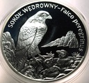 20 zł złotych 2008 Sokół Wędrowny Zwierzęta Świata SREBRO (nr 2)