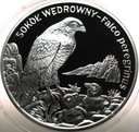 20 zł złotych 2008 Sokół Wędrowny Zwierzęta Świata SREBRO (nr 3)