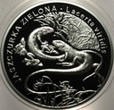 20 zł złotych 2009 Jaszczurka Zielona Zwierzęta Świata SREBRO