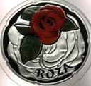 Świat Kwiatów Róża SREBRO
