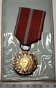 Medal im. Ludwika Waryńskiego Za Polskę i Socjalizm PZPR PRL Odznaczenie