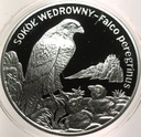 20 zł złotych 2008 Sokół Wędrowny Zwierzęta Świata SREBRO nr1