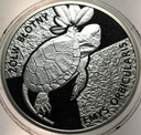 Młode Zwierzęta ŻÓŁW BŁOTNY SREBRO Ag925