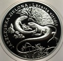 20 zł złotych 2009 Jaszczurka Zielona Zwierzęta Świata SREBRO