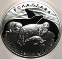 20 zł złotych 2007 Foka Szara Foki Zwierzęta Świata SREBRO