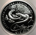 20 zł złotych 2009 Jaszczurka Zielona Zwierzęta Świata SREBRO (nr 2)