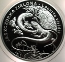 20 zł złotych 2009 Jaszczurka Zielona Zwierzęta Świata SREBRO (nr 1)