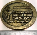 Medal Dziecięcy Festyn Barwy Przyjaźni