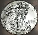 USA 1 dolar dollar 2013 American Silver Eagle uncja 1 oz SREBRO