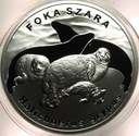 20 zł złotych 2007 Foka Szara Foki Zwierzęta Świata SREBRO