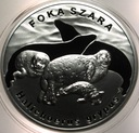 20 zł złotych 2007 Foka Szara Foki Zwierzęta Świata SREBRO
