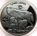 Wilk Canis Lupus Młode Zwierzęta Mennica Ag925 SREBRO