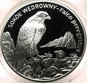 20 zł złotych 2008 Sokół Wędrowny Zwierzęta Świata SREBRO (2)