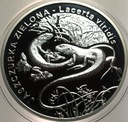 20 zł złotych 2009 Jaszczurka Zielona Zwierzęta Świata SREBRO