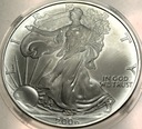 USA 1 dolar dollar 2006 American Silver Eagle uncja 1 oz SREBRO