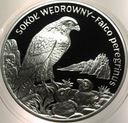 20 zł złotych 2008 Sokół Wędrowny Zwierzęta Świata SREBRO