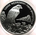20 zł złotych 2008 Sokół Wędrowny Zwierzęta Świata SREBRO