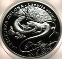 20 zł złotych 2009 Jaszczurka Zielona Zwierzęta Świata SREBRO (1)