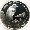 20 zł złotych 2008 Sokół Wędrowny Zwierzęta Świata SREBRO