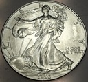 USA 1 dolar dollar 1996 American Silver Eagle uncja 1 oz SREBRO