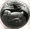 20 zł złotych 2007 Foka Szara Foki Zwierzęta Świata SREBRO