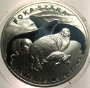 20 zł złotych 2007 FOKA Szara Foki Zwierzęta Świata SREBRO