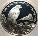 20 zł złotych 2008 SOKÓŁ Wędrowny Zwierzęta Świata SREBRO