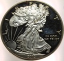 USA 1 dolar dollar 2013 American Silver Eagle uncja 1 oz SREBRO