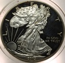 USA 1 dolar dollar 2013 W American Silver Eagle PROOF uncja 1 oz SREBRO