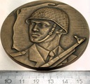 Medal Wojsko Polskie żołnierz