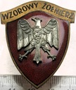 Odznaka Wzorowy Żołnierz Odznaczenie Medal