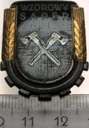Odznaka Wzorowy Saper. Medal Odznaczenie