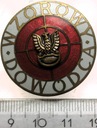 Odznaka Wzorowy Dowódca BRĄZOWA