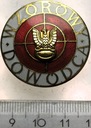 Odznaka Wzorowy Dowódca ZŁOTA