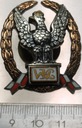 Odznaka Wzorowy Kadet