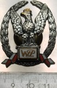Odznaka Wzorowy Podchorąży