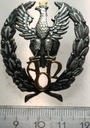 Odznaka Sztabu Generalnego Rzeczypospolitej Polskiej, AON