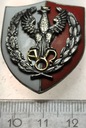 Odznaka AON Akademia Obrony Narodowej