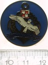 Odznaka Brygady Lotnictwa Marynarki Wojennej (BLMW)