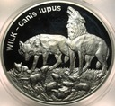 20 zł złotych 1999 Wilk Wilki Zwierzęta Świata SREBRO
